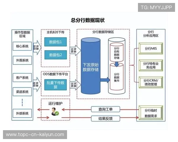 巴西抽签后的舆论热潮与小组结构的挑战：一份数据驱动的解读与决策指南